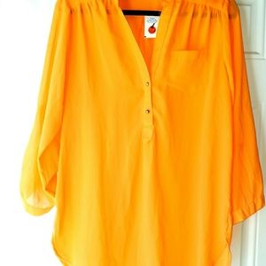 Women's long sleeve sheer blouse